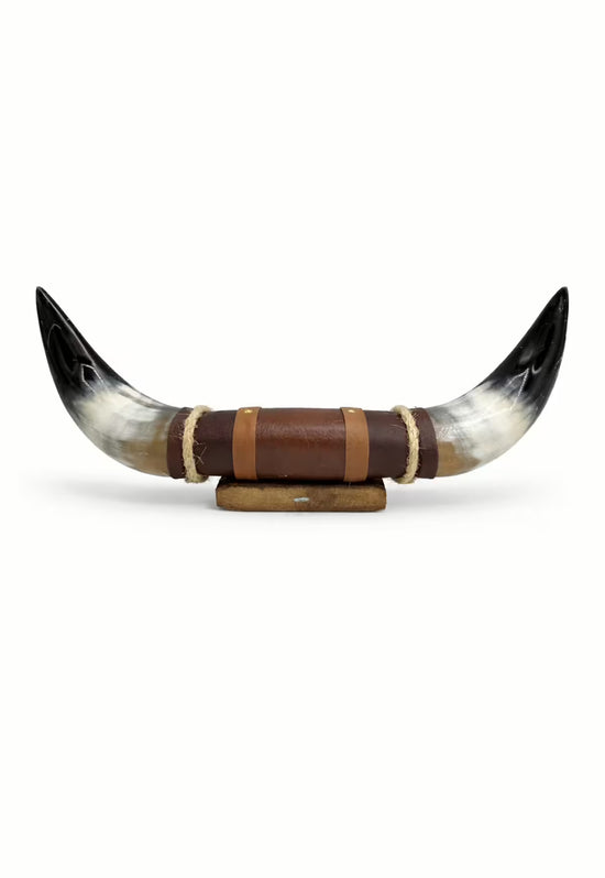Bullenhorn Wandobjekt Modell 9 – Naturhorn Einzelstück mit Leder-Holzhalterung