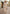 Luxuriöse Toscana Lammfelljacke in Creme-Beige – Modell 1040