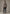 Luxuriöse Lammfelljacke aus Toscana Shearling – Modell 1093