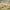 Aktionsbanner