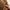 Aktionsbanner